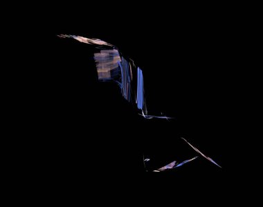 Siyah Renk Üzerine Bir Dijital Fraktal Resmi