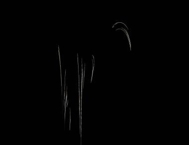 Siyah Renk Üzerine Bir Dijital Fraktal Resmi