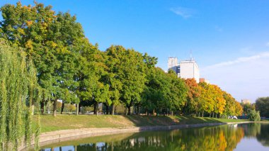 Kuru güneşli bir günde sonbahar parkı