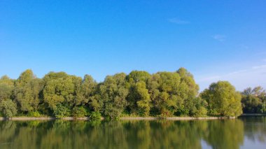 Kuru güneşli bir günde yaz parkı
