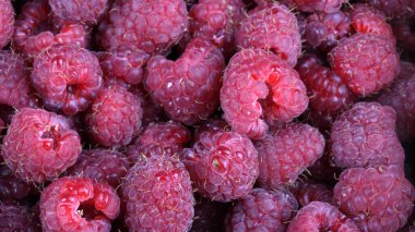 bir sürü ahududu var.