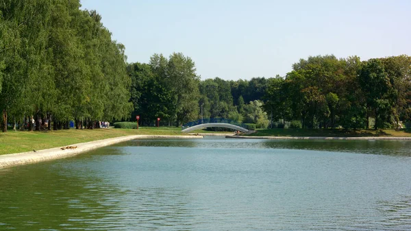 Sommer Stadtpark — Stockfoto