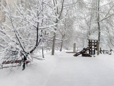 Şehir parkında kar yağdıktan sonra gündüz