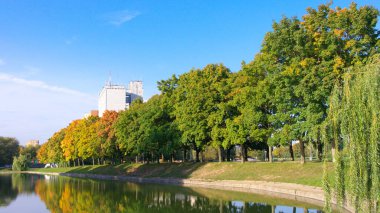 Kuru güneşli bir günde sonbahar parkı