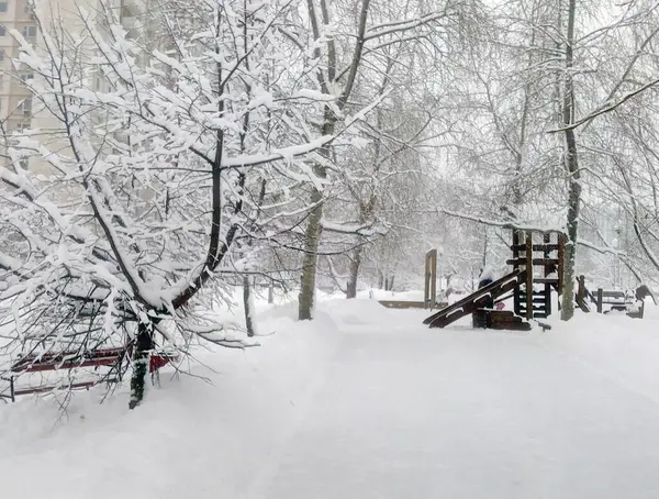 Şehir parkında kar yağdıktan sonra gündüz