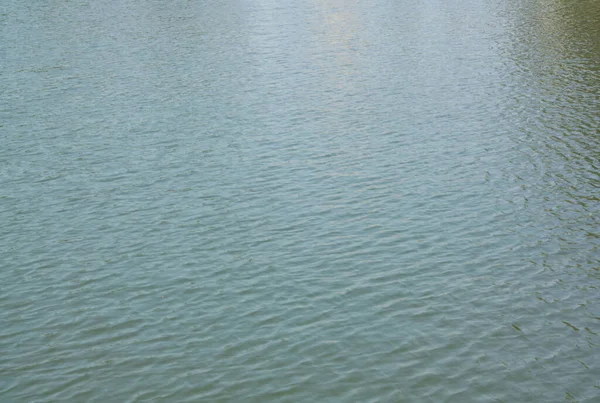 Wellen Auf Dem Wasser Stadtpark Teich — Stockfoto