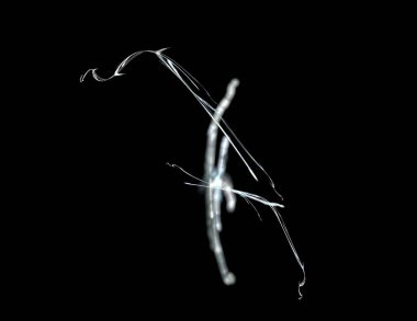 Siyah Renk Üzerine Bir Dijital Fraktal Resmi