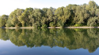 Kuru güneşli bir günde yaz parkı