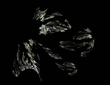 Siyah Renk Üzerine Bir Dijital Fraktal Resmi