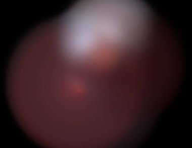 Siyah Renk Üzerine Bir Dijital Fraktal Resmi