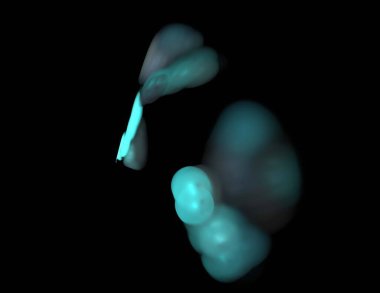 Siyah Renk Üzerine Bir Dijital Fraktal Resmi