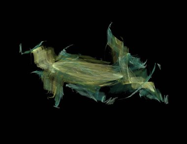 Siyah Renk Üzerine Bir Dijital Fraktal Resmi