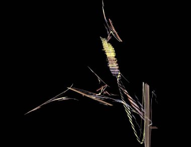 Siyah Renk Üzerine Bir Dijital Fraktal Resmi