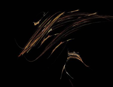 Siyah Renk Üzerine Bir Dijital Fraktal Resmi