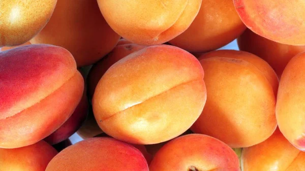 Many Orange Peach Day — Stock Photo, Image