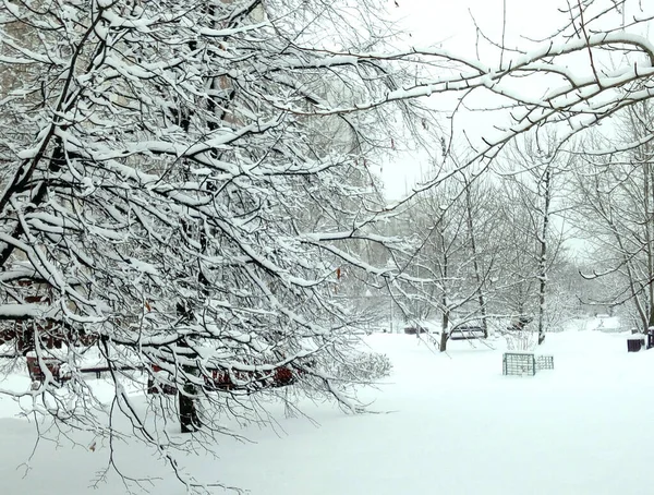 Park Miejski Opadach Śniegu Dzień — Zdjęcie stockowe
