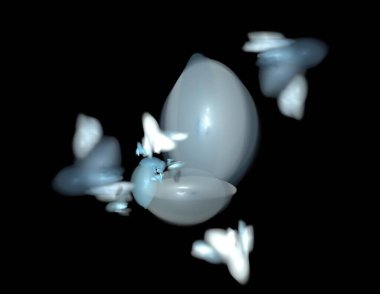 Siyah Renk Üzerine Bir Dijital Fraktal Resmi