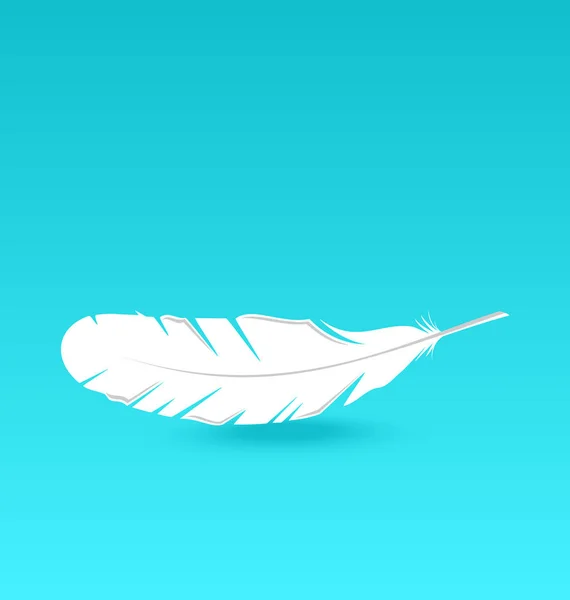 Λευκό φτερό που υπάγονται — Φωτογραφία Αρχείου