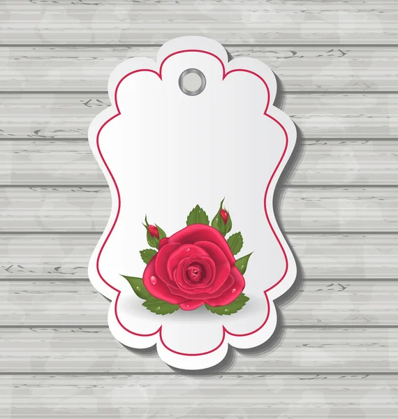 Elegante tarjeta con rosa roja para San Valentín —  Fotos de Stock