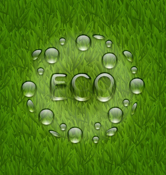 Экологичный фон с капельками воды на свежей зеленой траве — стоковое фото