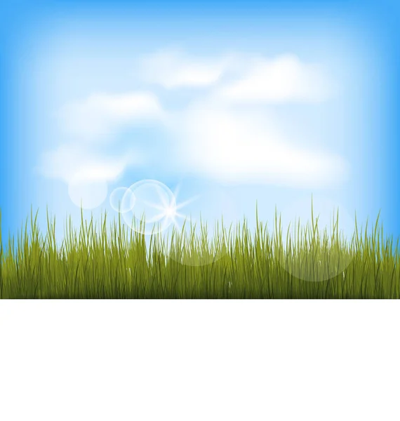 Fond d'été avec herbe verte, ciel bleu, nuages — Photo