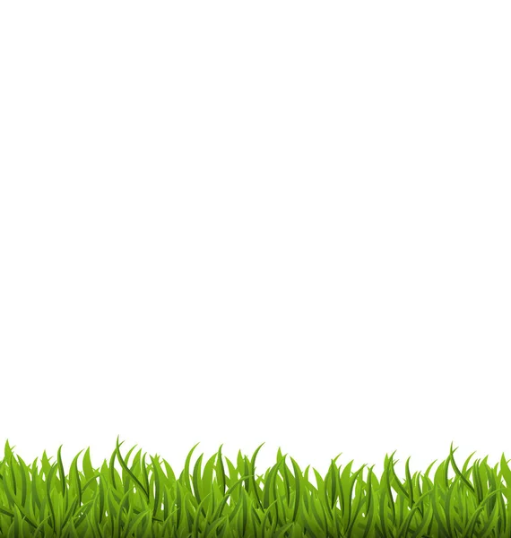 Fondo de primavera con hierba verde, espacio para su texto —  Fotos de Stock