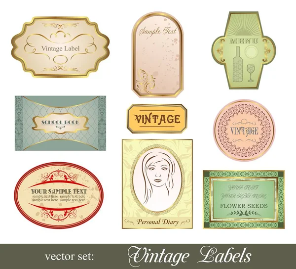 Set Retro Variation Vintage Etiketten — Stockfoto