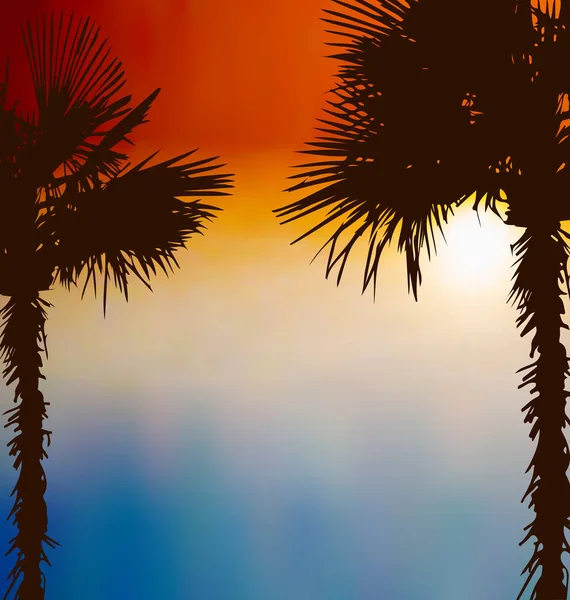 Tropikal palmiye ağaçları, gün batımı arka plan — Stok fotoğraf