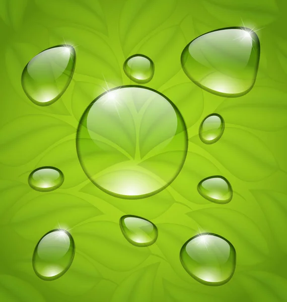 Gotas de agua sobre hojas verdes frescas textura — Foto de Stock