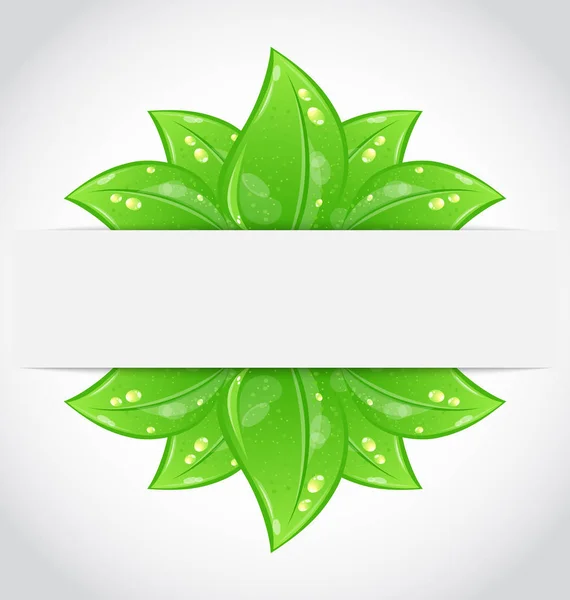 Bio conceito design eco friendly banner — Fotografia de Stock
