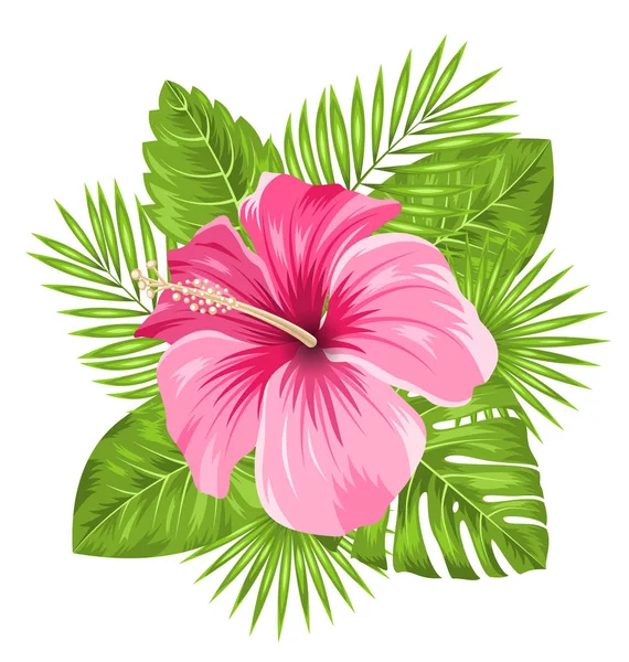 Hermosas flores de hibisco rosa flor y hojas tropicales —  Fotos de Stock