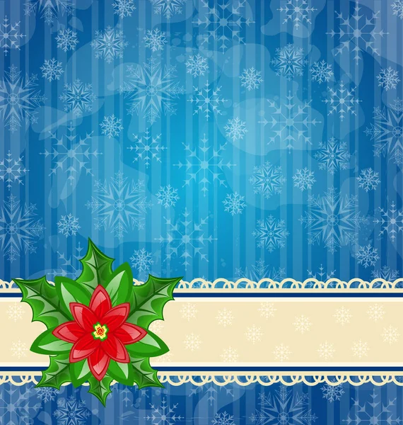 Christmas wallpaper with flower poinsettia — Stock Photo, Image