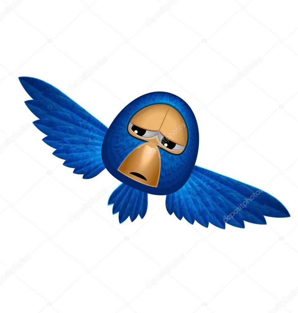 Angry blue bird soars and looks to you