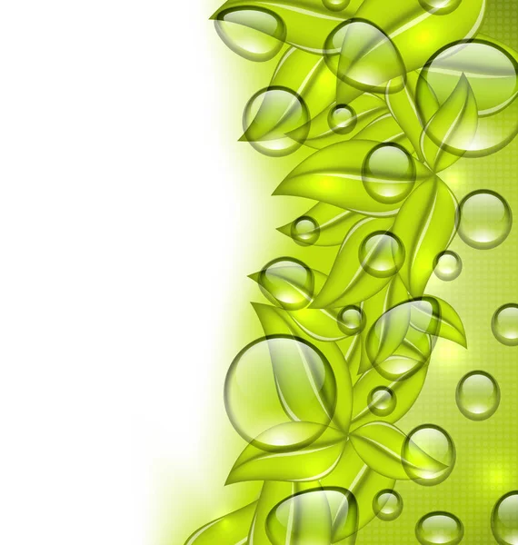 Water drops on fresh green leaves texture, copy space for your t — Stock Photo, Image