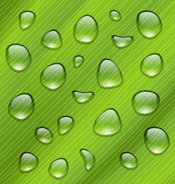 Gotas de água na textura verde fresca da folha — Fotografia de Stock