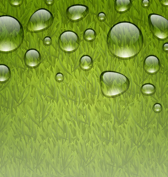 Екологічно чистий фон з краплями води на свіжій зеленій траві — стокове фото