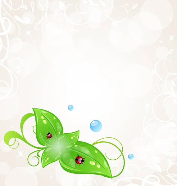 Eco φιλικό φόντο με πράσινα φύλλα και ladybugs — Φωτογραφία Αρχείου