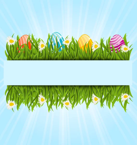 Easter colorful eggs and camomiles in green grass with space for — Stock Photo, Image