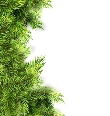 Doğal Framework çam çırpı ile