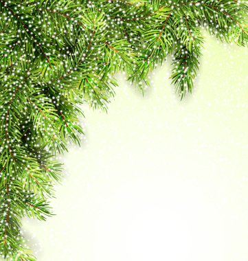 Doğal Framework çam çırpı ile