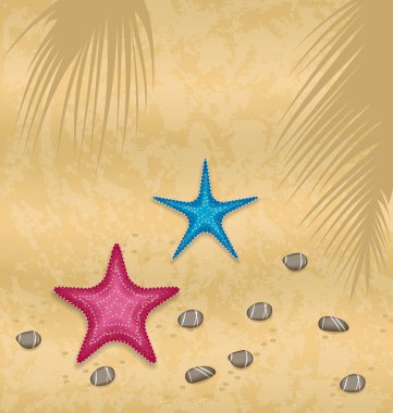 arka plan ile starfishes kum ve çakıl taşları
