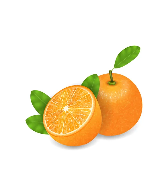 Foto Realista Set Orange Fruits — Fotografia de Stock