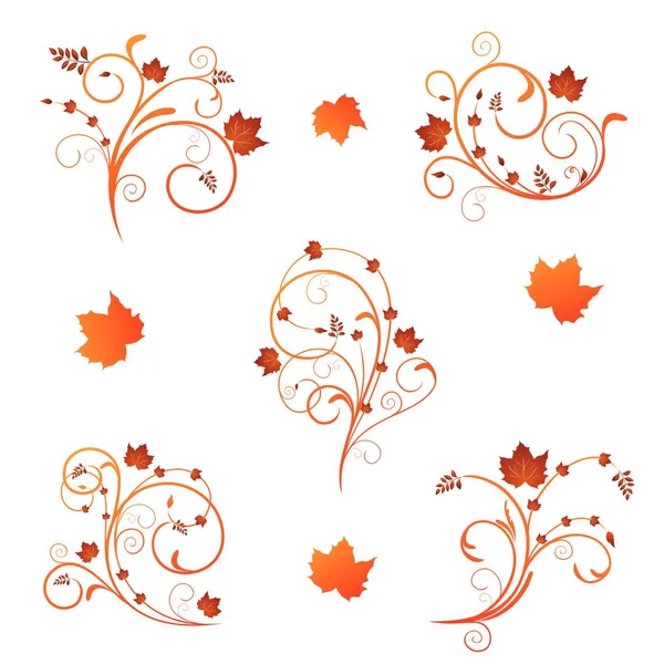 Осенний цветочный дизайн — стоковое фото