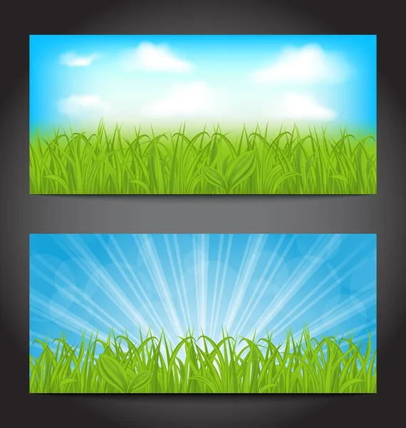 Zomer kaarten met gras, natuurlijke achtergronden instellen — Stockfoto