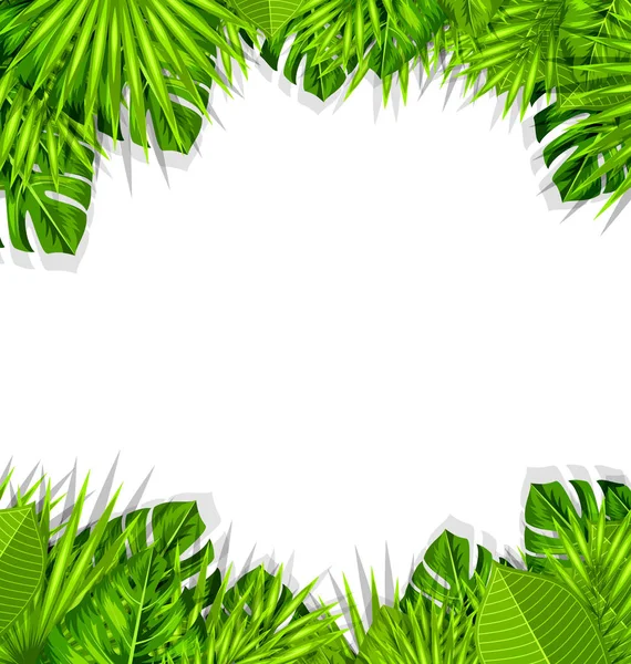 Лето свежий фон с тропическими листьями — стоковое фото