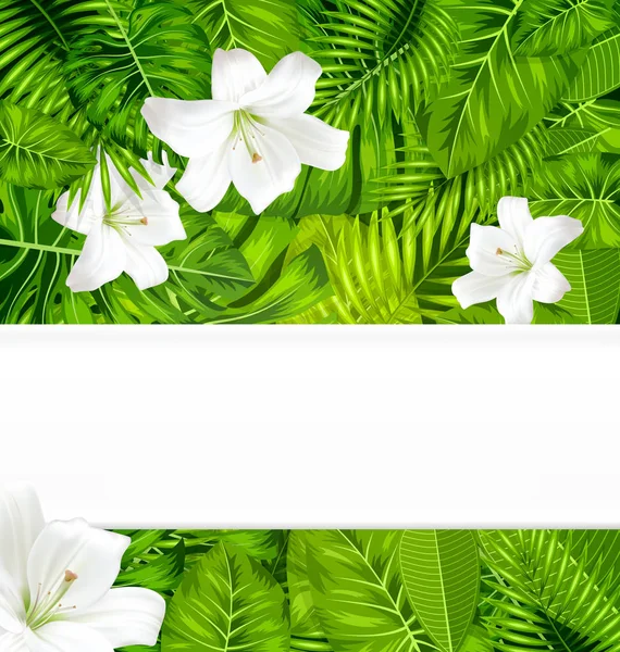 Πλαίσιο υποκατάστημα τροπικά φύλλα και λευκά λουλούδια κρίνος — Φωτογραφία Αρχείου