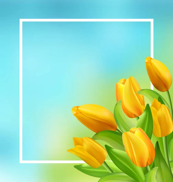 Moldura natural com flores amarelas das tulipas — Fotografia de Stock
