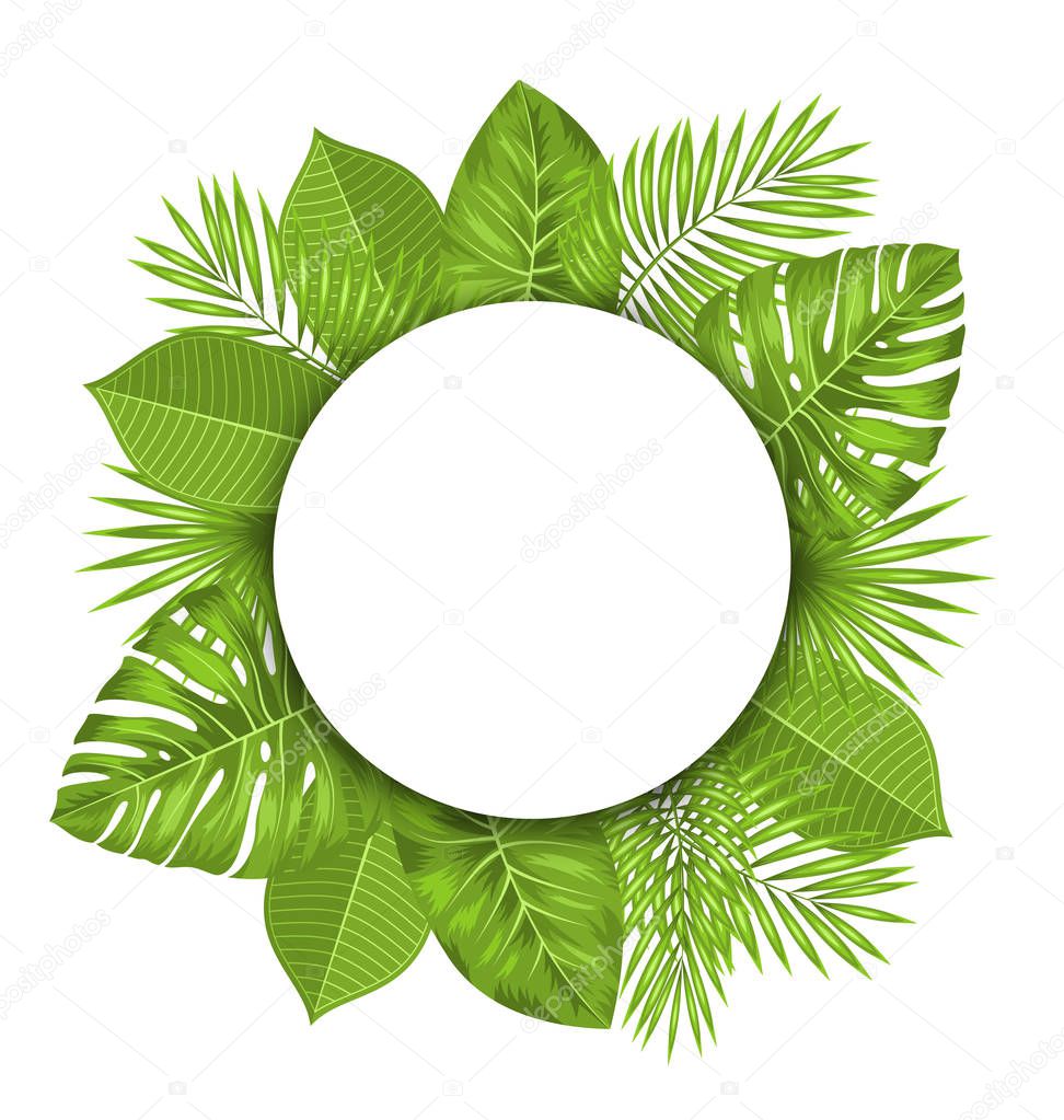 Clean Card with Text Space and Green Tropical Leaves