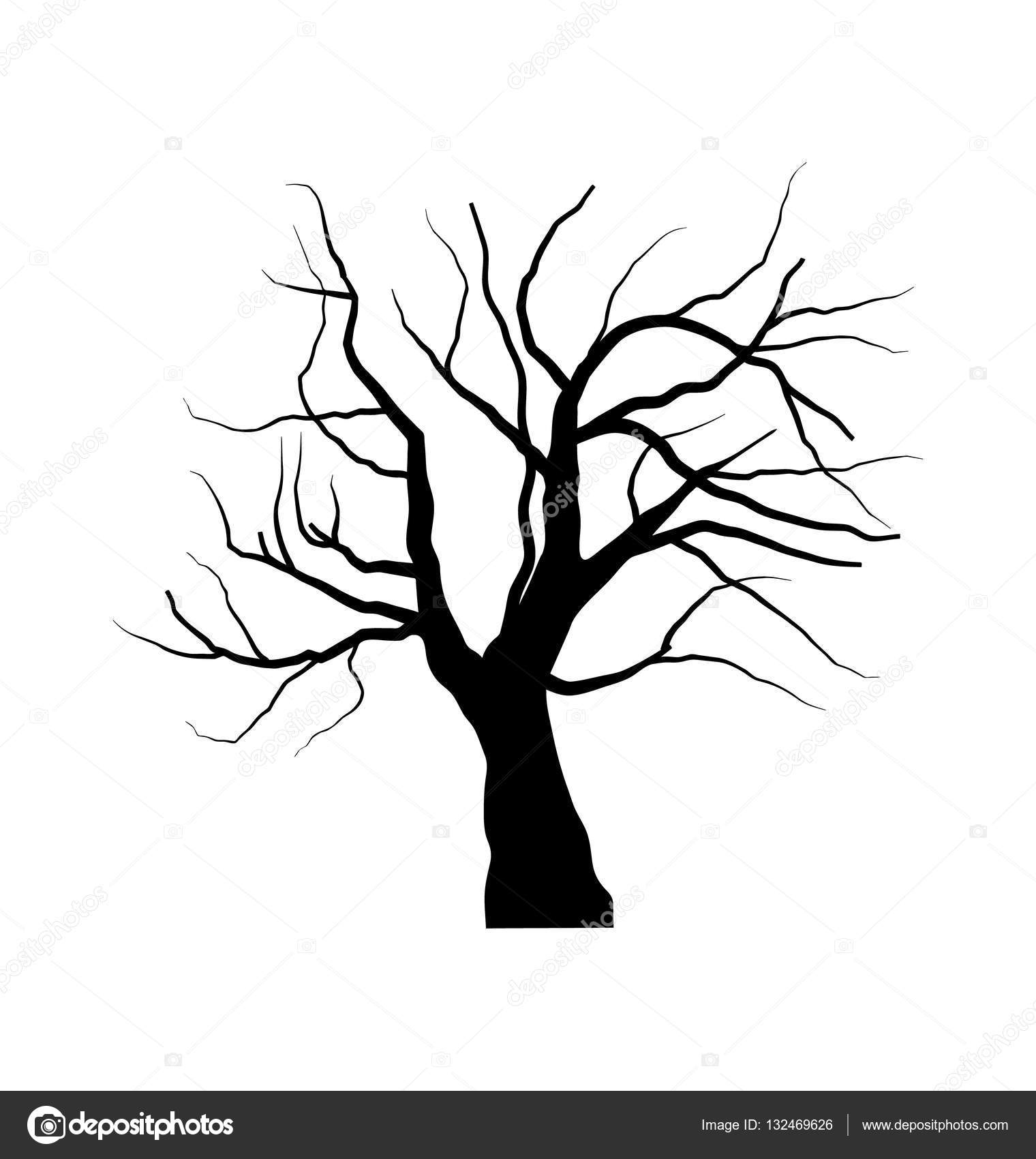 Tree without leaves Outline Drawing Images, Pictures