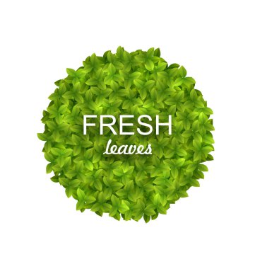 Eco dostu daire çerçeve içinde yeşil yaprakları yapılmış
